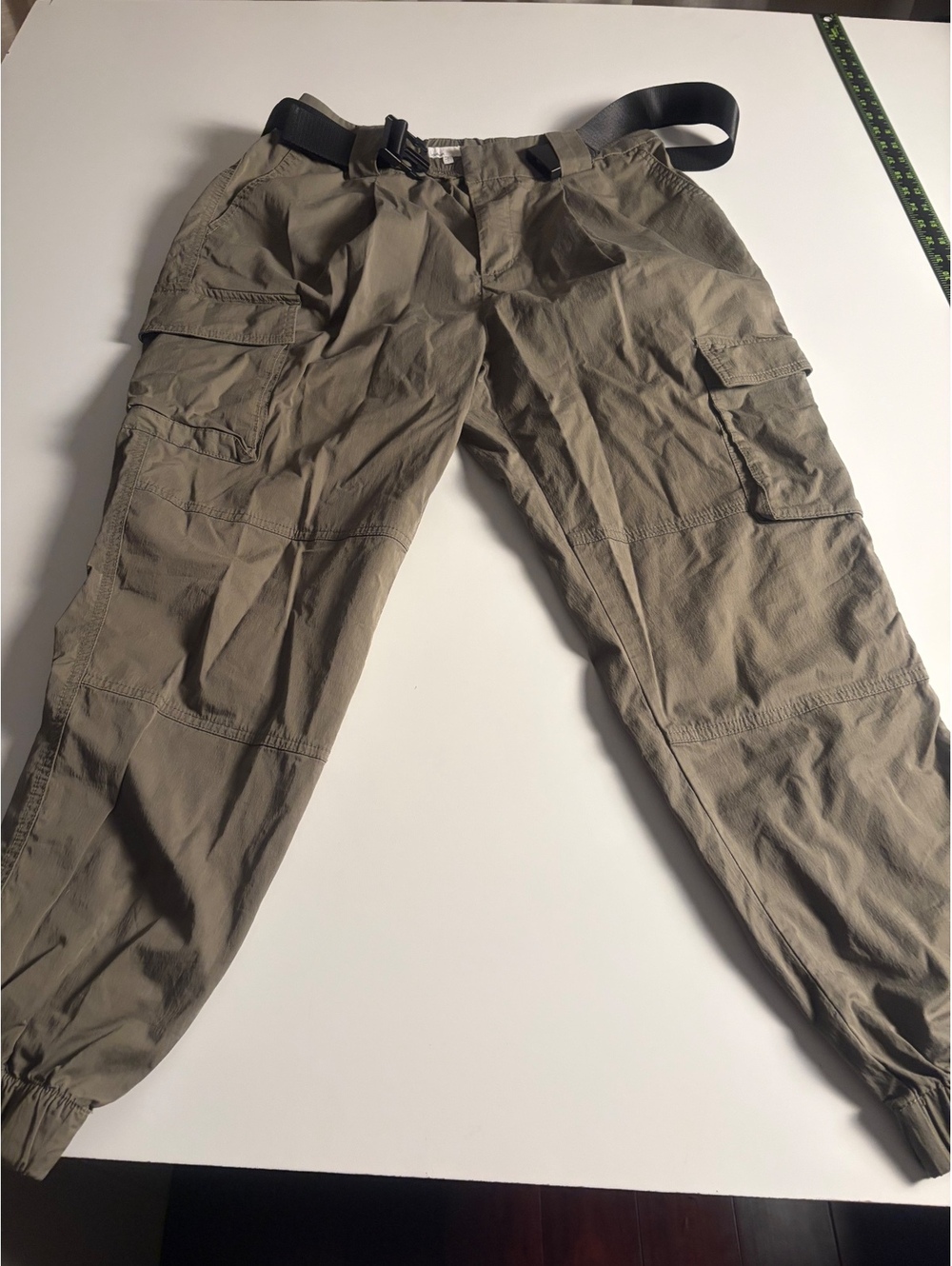 Defrost Cargo Pants with Belt in Tan, Size Large